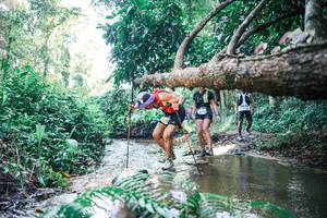 BIB: 
                            <button type="button" onclick="openModal(25439056)" class="btn btn-primary btn-sm float-right btn-popup" data-toggle="modal" data-target=".modal-high-quality">
                        <i class="fas fa-shopping-cart"></i> Add to Cart
                    </button>
                                            <button type="button" onclick="isThisMe(25439056, true)" class="btn btn-success btn-sm float-right btn-popup btn-isme hidden" data-toggle="tooltip" data-placement="bottom" title="นี่คือรูปของคุณใช่ไหม คลิกที่นี่เพื่อเอาเข้าอัลบั้ม">
                        <i class="fas fa-plus"></i> Add to album
                    </button>
                    <button type="button" onclick="isThisMe(25439056, false)" class="btn btn-warning btn-sm float-right btn-popup btn-isnotme hidden">
                        <i class="fas fa-ban"></i> Remove from album
                    </button>